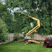 Best Lawn Watering Services  in Heath, TX