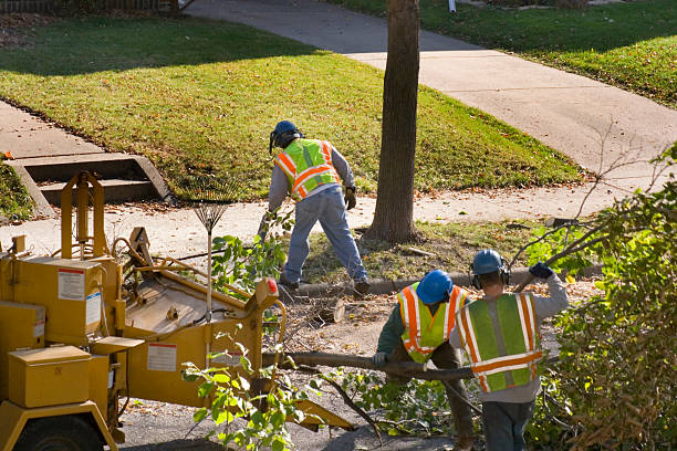 Lawn Maintenance Plans in Heath, TX